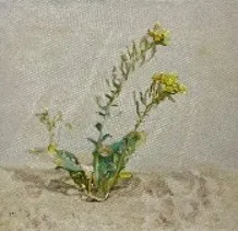 ARTWORK BY NINE / لوح  فنية لناين