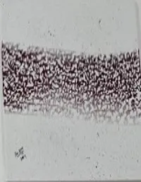 Artwork By Abdulrahman Alsuidi/عبد الرحمن السويدي لوح  فنية