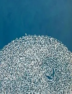 Artwork By Abdulrahman Alsuidi/عبد الرحمن السويدي لوح  فنية