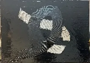 ARTWORK BY Fatma Alsharshani/ لوح  فنيةفاطمة الشرشاني