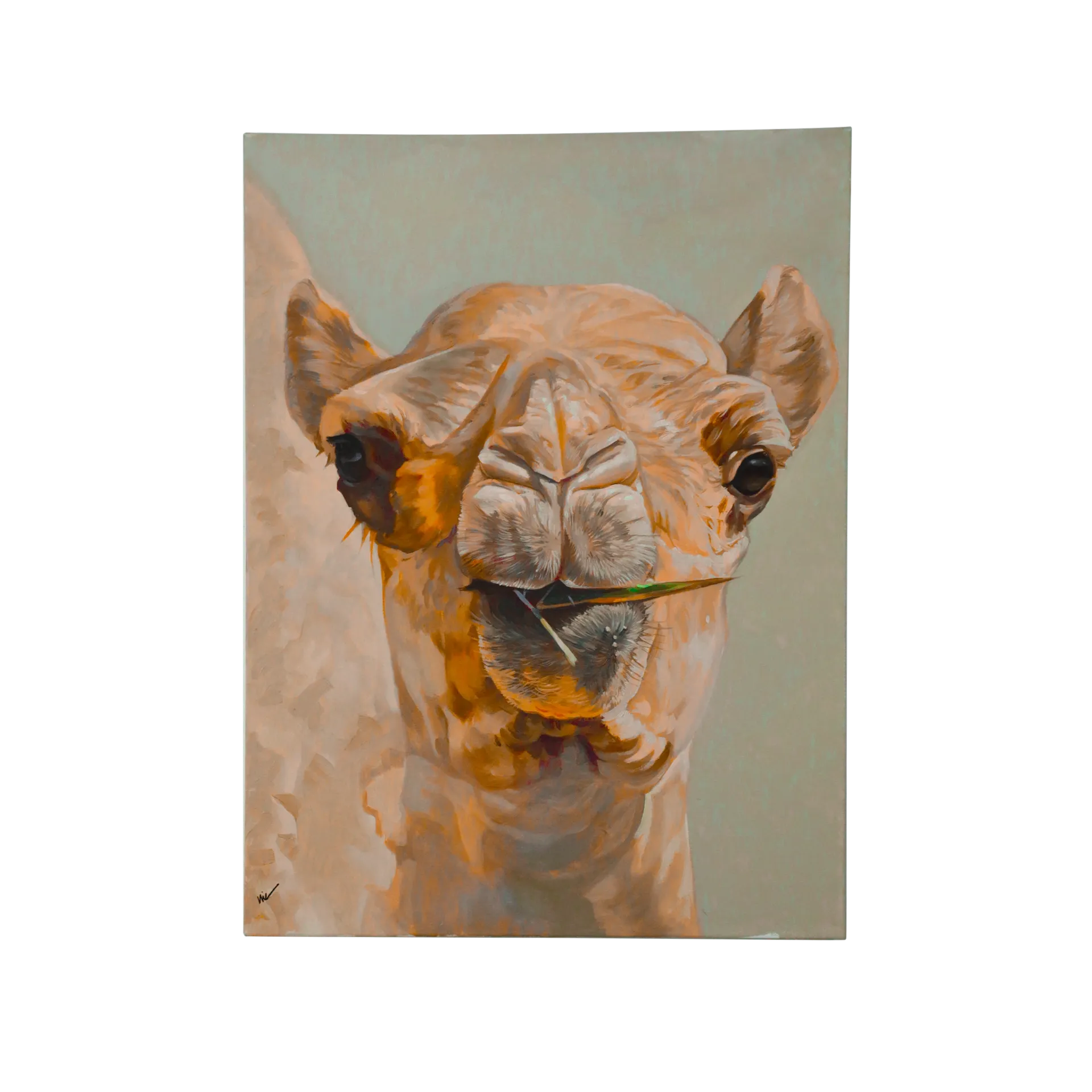 مكان عمل فردي