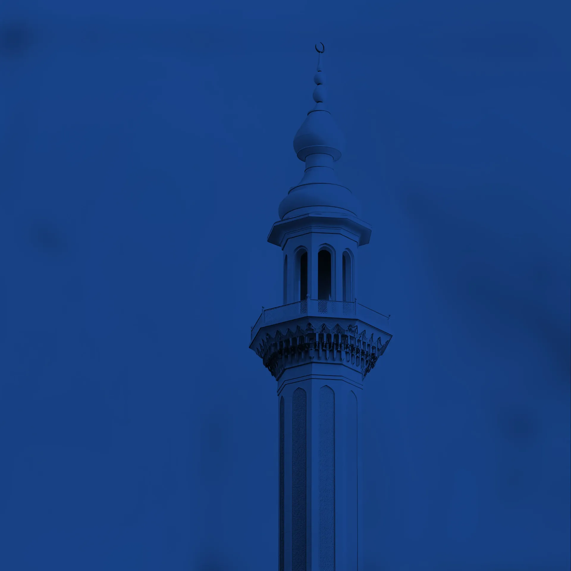 PRINTED ART BY AM GALLERY / مطبوعات فنية من اي ام غاليري