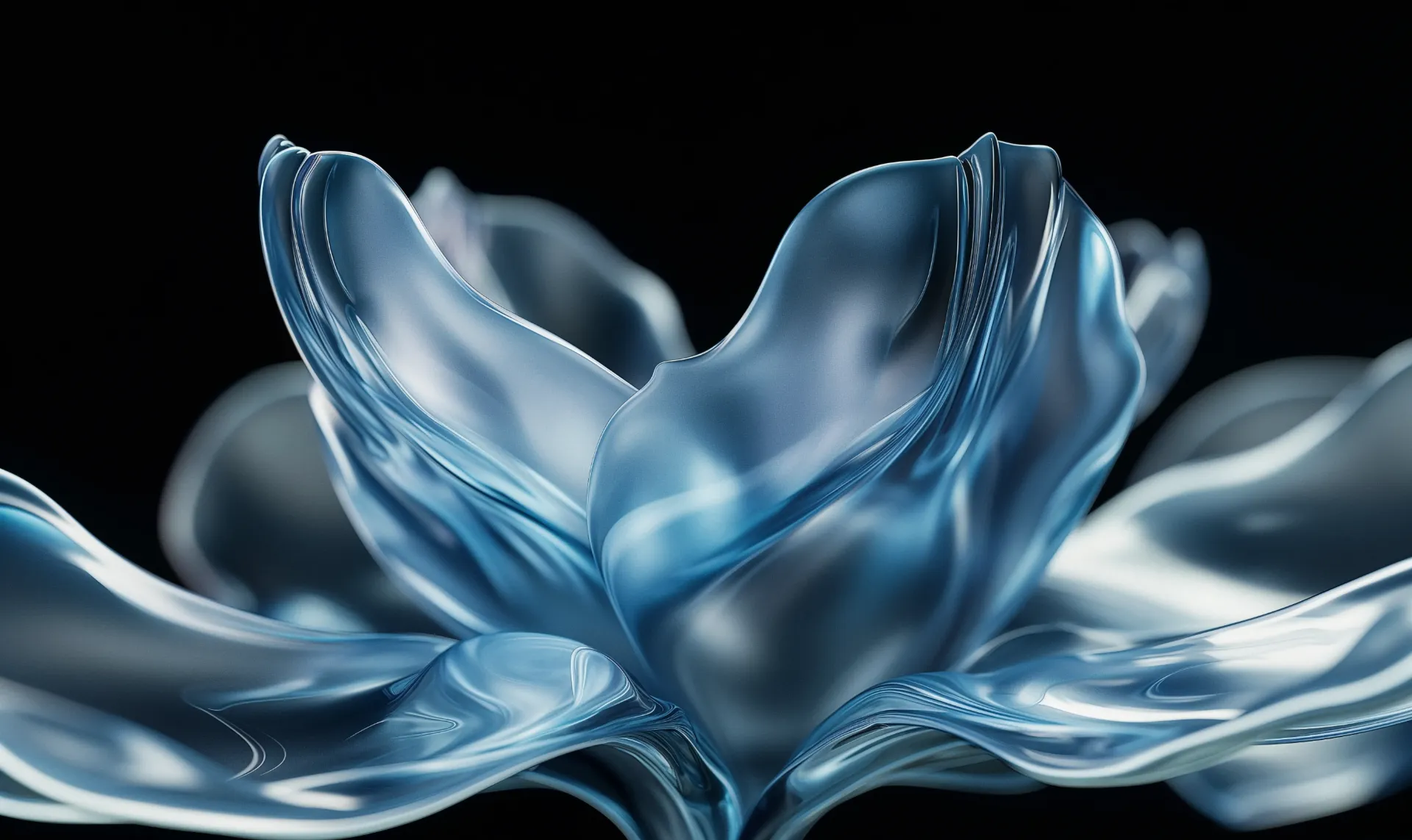 PRINTED ART BY AM GALLERY / مطبوعات فنية من اي ام غاليري