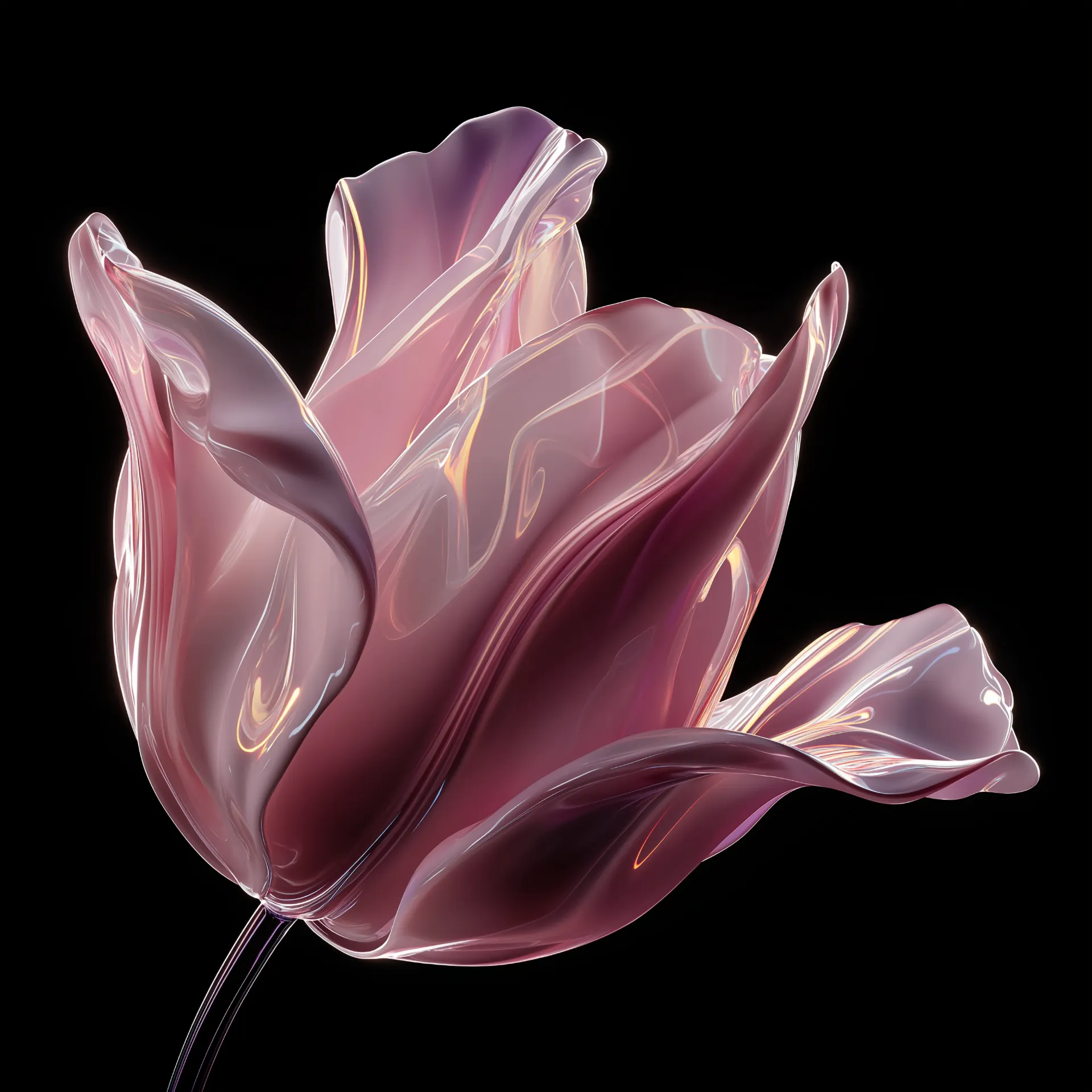 PRINTED ART BY AM GALLERY / مطبوعات فنية من اي ام غاليري